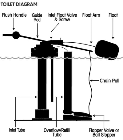 Repairing a Toilet Leak | Truckee Meadows Water Authority