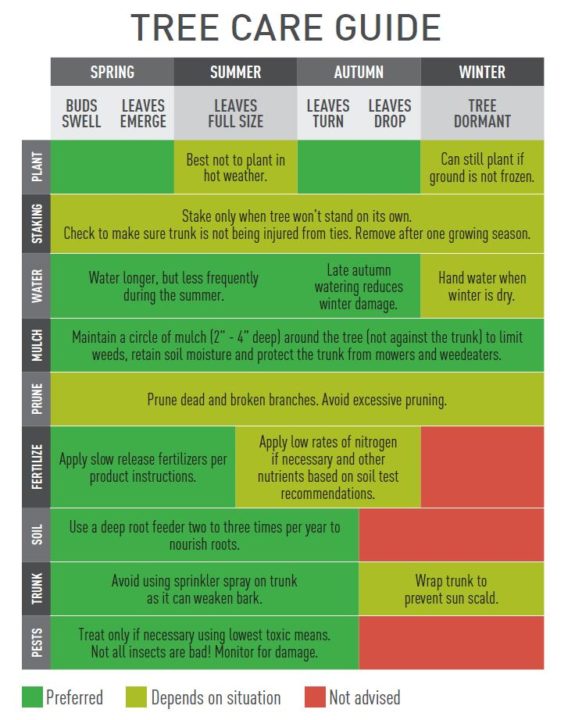 Seasonal Tree Care Guide Truckee Meadows Water Authority