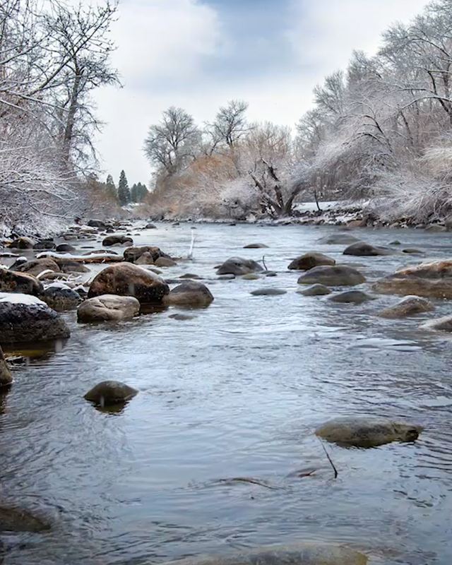 TMWA Home Truckee Meadows Water Authority