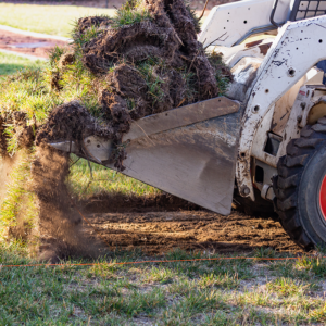 Turf Removal