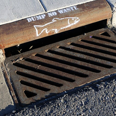 Image of storm drain with "Dump no Waste" written on it. 