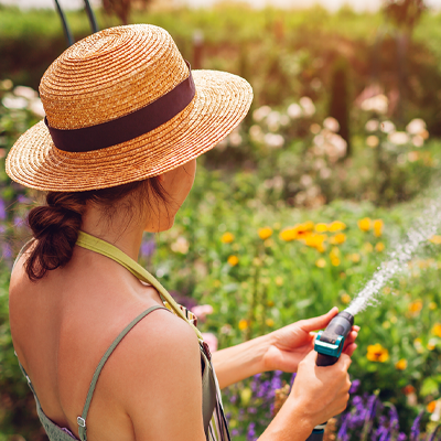 Hot weather watering tips.