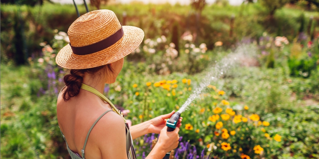 A person watering in their garden