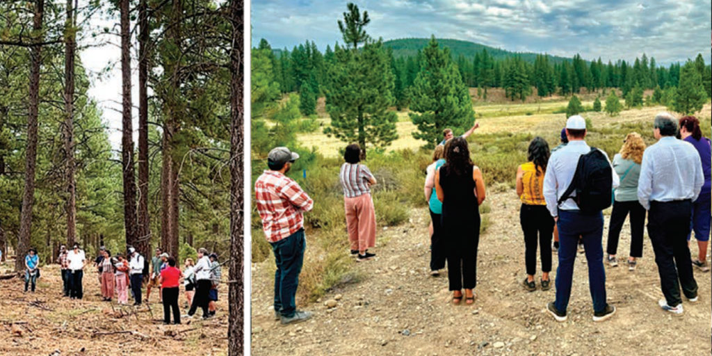 Teachers Tour the Watershed, Hear from Experts