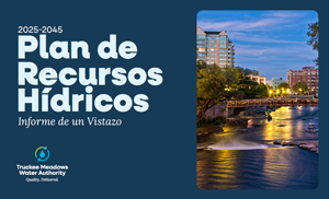Este informe ofrece una visión general de cómo TMWA está preparada para satisfacer las necesidades hídricas de la comunidad durante las próximas dos décadas y más allá. Se basa en el Plan de Recursos Hídricos 2025-2045 , mucho más detallado , que se actualiza cada cinco años. En este artículo encontrará información esencial sobre cómo se gestionan hoy los recursos hídricos de nuestra región y cómo planificamos el futuro. Los temas incluyen: Cómo el crecimiento demográfico, el cambio climático y los cambios económicos influyen en la planificación a largo plazo. El papel del río Truckee, las aguas subterráneas y las tecnologías avanzadas para garantizar la resiliencia del suministro. Estrategias de conservación, protección de cuencas hidrográficas y proyectos futuros que mantendrán nuestro sistema fuerte. Ya sea cliente, socio comunitario o simplemente interesado en el futuro del agua en el norte de Nevada, este resumen le brindará la perspectiva necesaria para comprender cómo TMWA garantiza un suministro de agua confiable para Truckee Meadows. Consulte el Plan de Recursos Hídricos 2025-2045: Resumen 