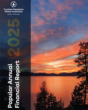 Image of the front cover of TMWA's 2025 Popular Annual Financial Report. 