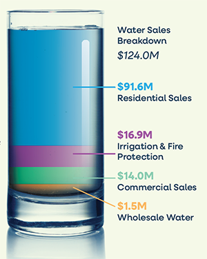 Chart showing breakdown of TMWA water sales by customer category.